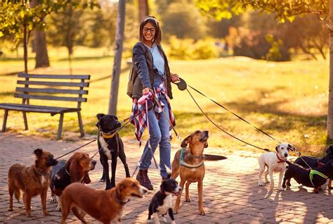 pasay walker|The 10 best dog walkers in Pasay .